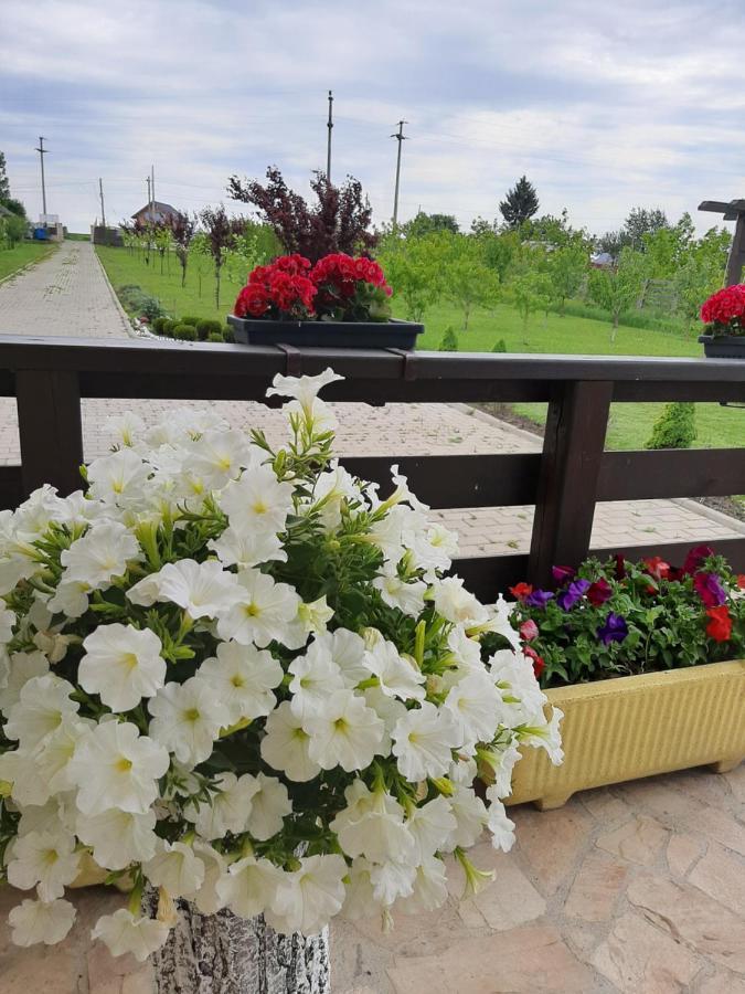 Dor De Casa 호텔 Doljesti 외부 사진